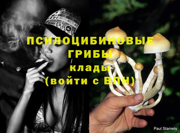 прущий лед Бугульма