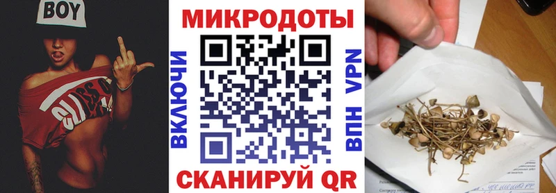 Галлюциногенные грибы MAGIC MUSHROOMS  Вилючинск 
